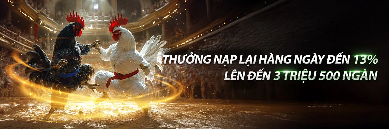 Sân đấu đá gà trực tuyến 95win đăng nhập