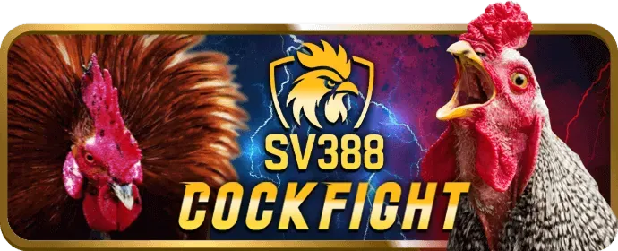 Hình ảnh cá cược thể thao tại 95win đăng nhập